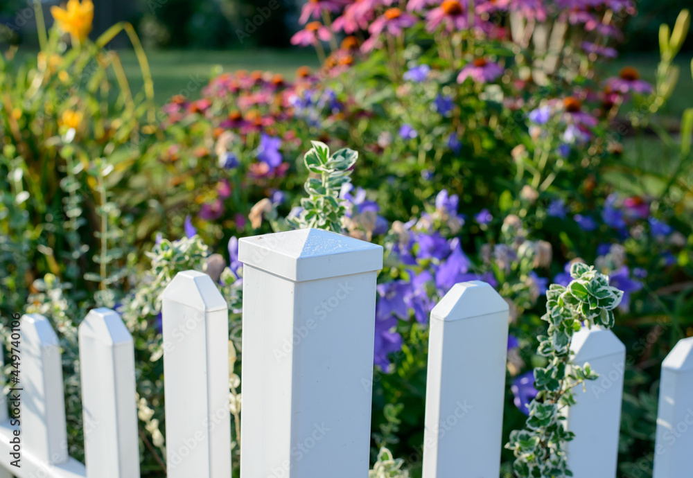 Fototapeta premium White fence post surrounds colorful flowers in early morning light