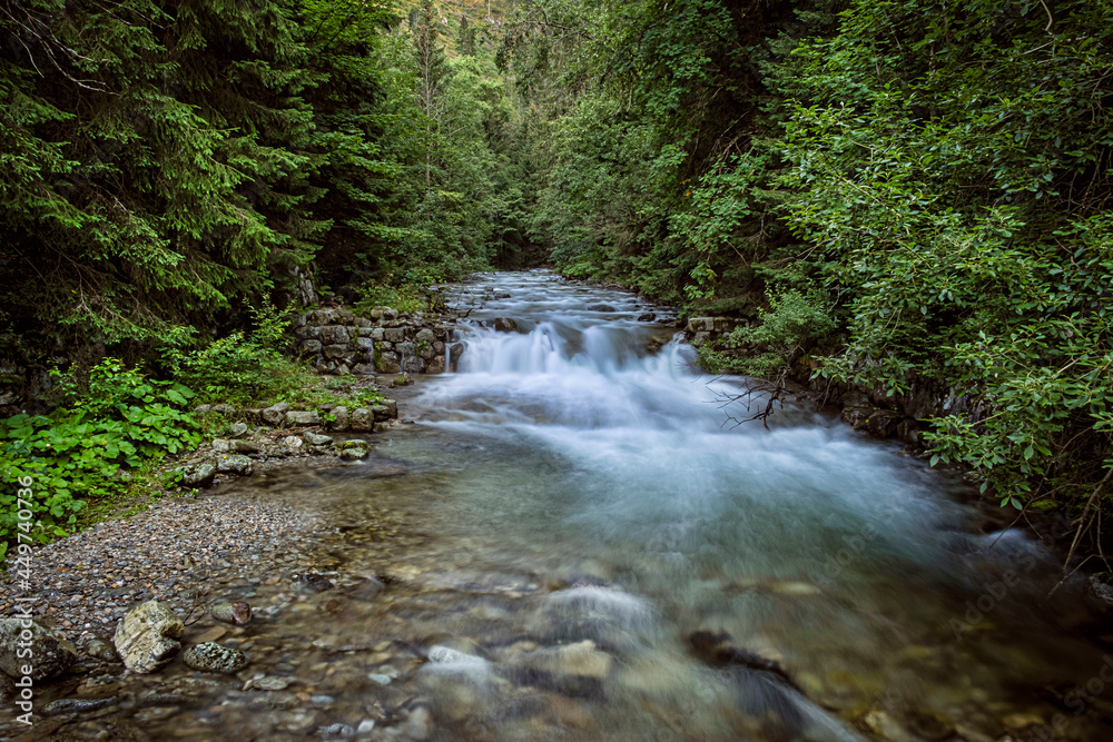 Flowing creek, Western Tatras mountain, Slovakia