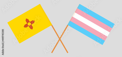 Crossed flags of the State of New Mexico and transgender pride. Official colors. Correct proportion