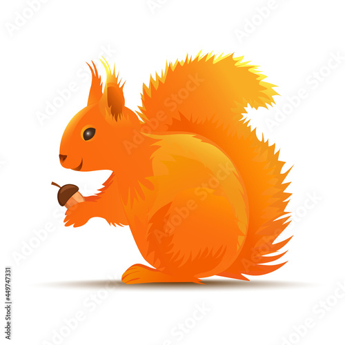Realistic vector Illustration of squirrel with acorn 