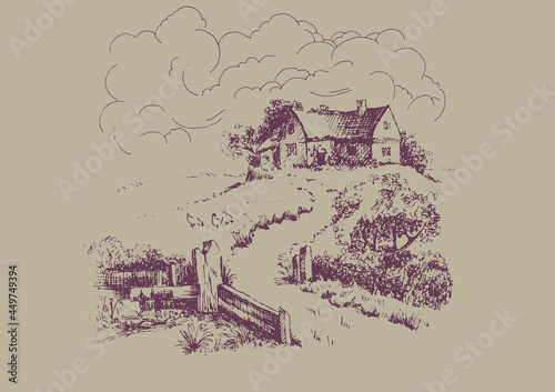 Rural scenery landscape panorama of countryside pastures. Green grass field on small hills. Vector sketch illustration