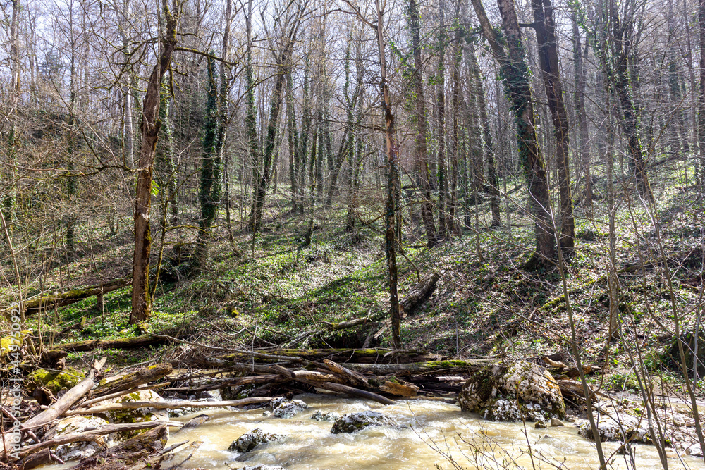 Spring, mountain rivers are filled with meltwater. Spring, mountain rivers are filled with meltwater.