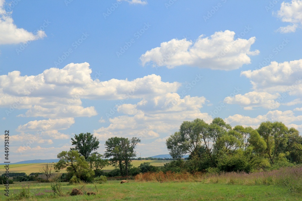 Meadow, trees and the sky with clouds. Bulgaria.