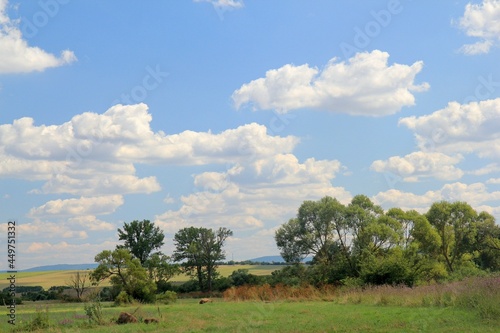 Meadow  trees and the sky with clouds. Bulgaria.