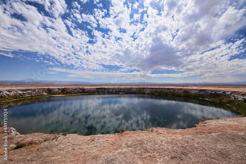 Ojos de Salar freshwater pool in the desert, San Pedro de Atacama, Chile