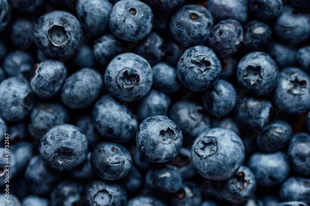 Freshly picked blueberries. Close up view of ripe tasty wet blueberries Freshly picked blueberries. Close up view of ripe tasty wet blueberries