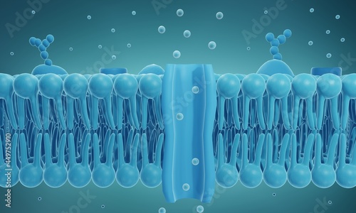Ion channel in cell membrane