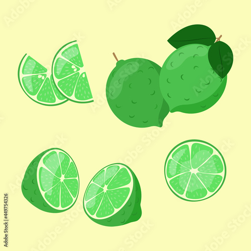 Lime slices in cut isolated. Citrus fruit whole and sliced. Vector illustration