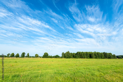 Beautiful summer day over green fields against blue cloudy sky © Piotr Krzeslak