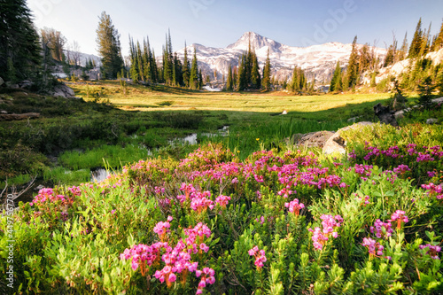 Eagle Cap and Wildflowers photo