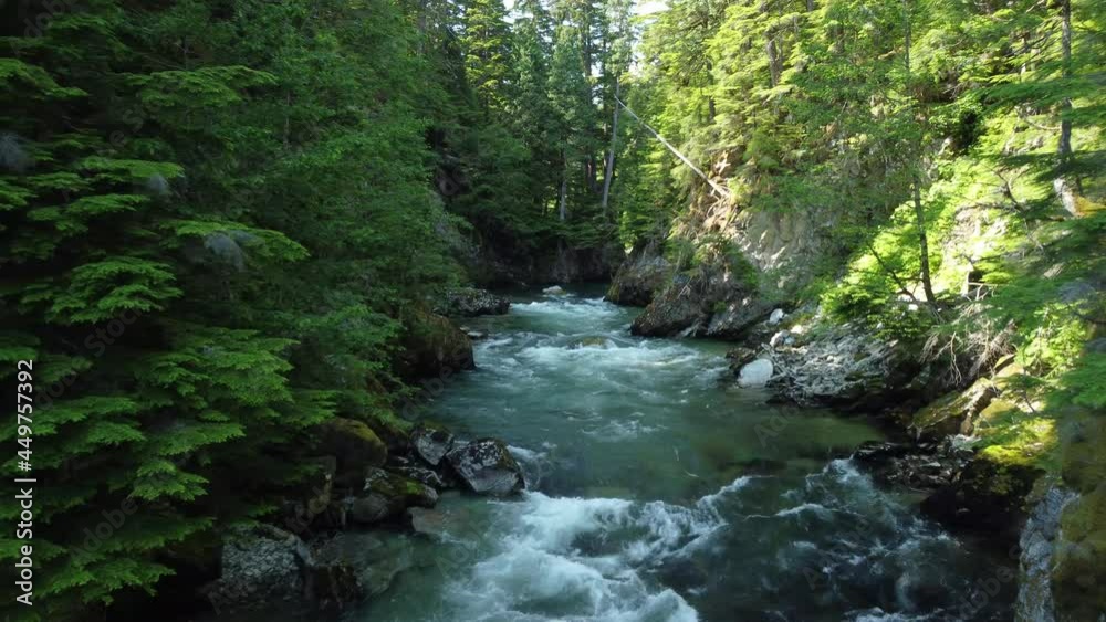 Travelling up a swift moving creek in a forest canyon