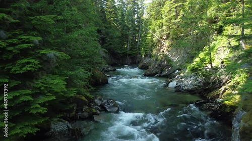 Travelling up a swift moving creek in a forest canyon