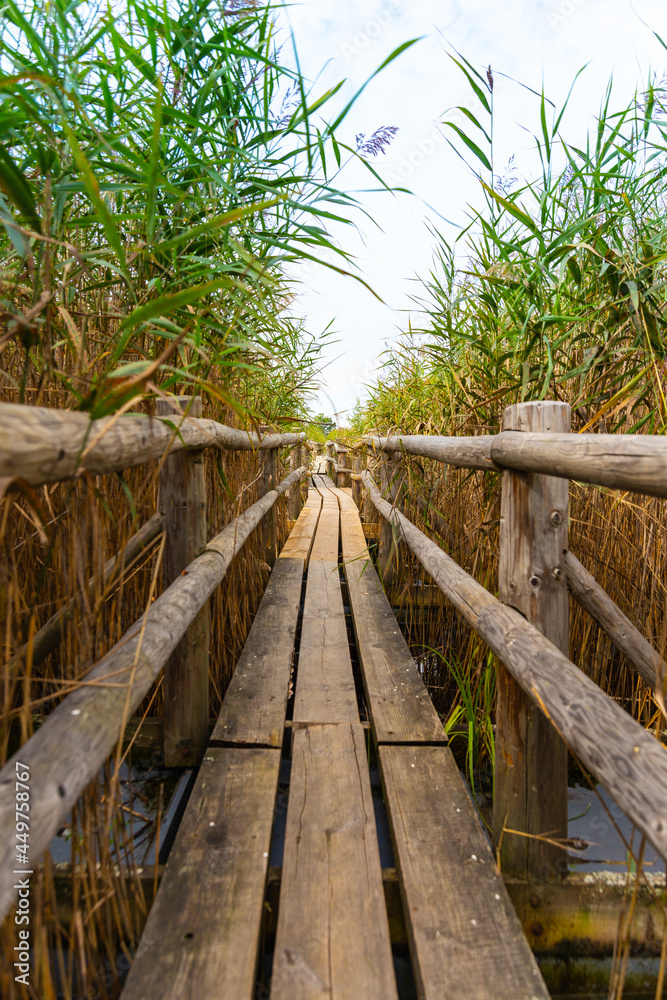 Fototapeta premium Old wooden footbridge for hiking