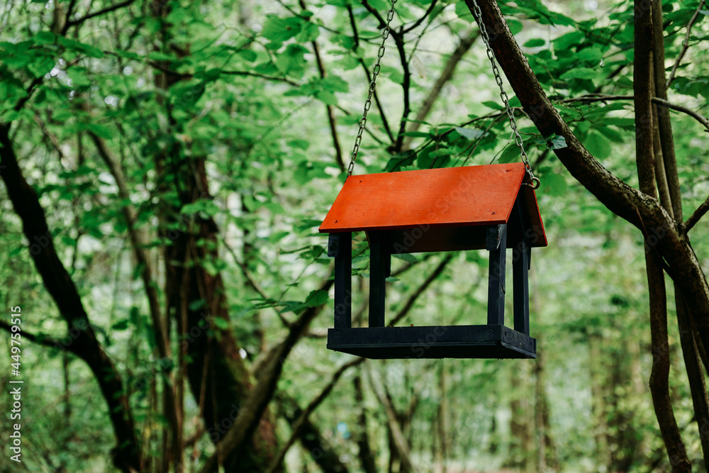 Wooden bird feeder in green summer forest or in the city park. Soft green Wooden bird feeder in green summer forest or in the city park. Soft green