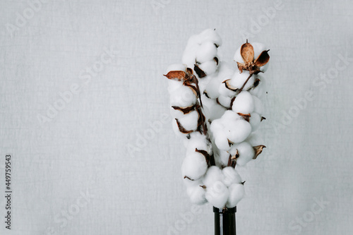 Light grey background with branch of artificial cotton flower. Can be greeting card and design element. Copy space.