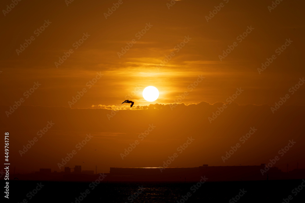 Sunrise, August 9, 2021, Sanbanzse, Urayasu, Japan Sunrise, August 9, 2021, Sanbanzse, Urayasu, Japan