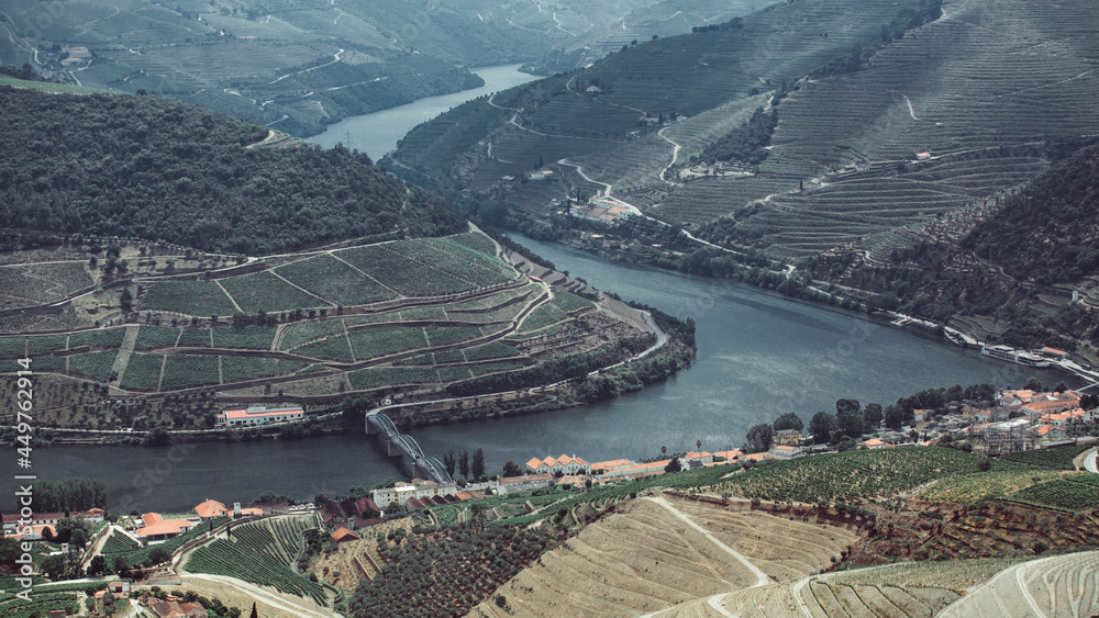 Top view of Douro Valley – river and vineyards are on a hills, Portugal.