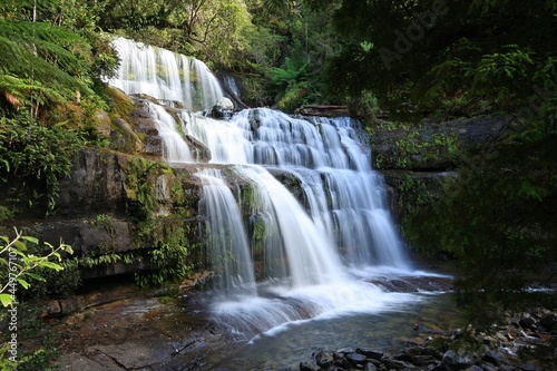 Fototapeta Naklejka Na Ścianę i Meble -  liffey falls waterfall in tasmania