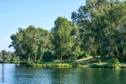 A beautiful view of the river surrounded by trees in summer.