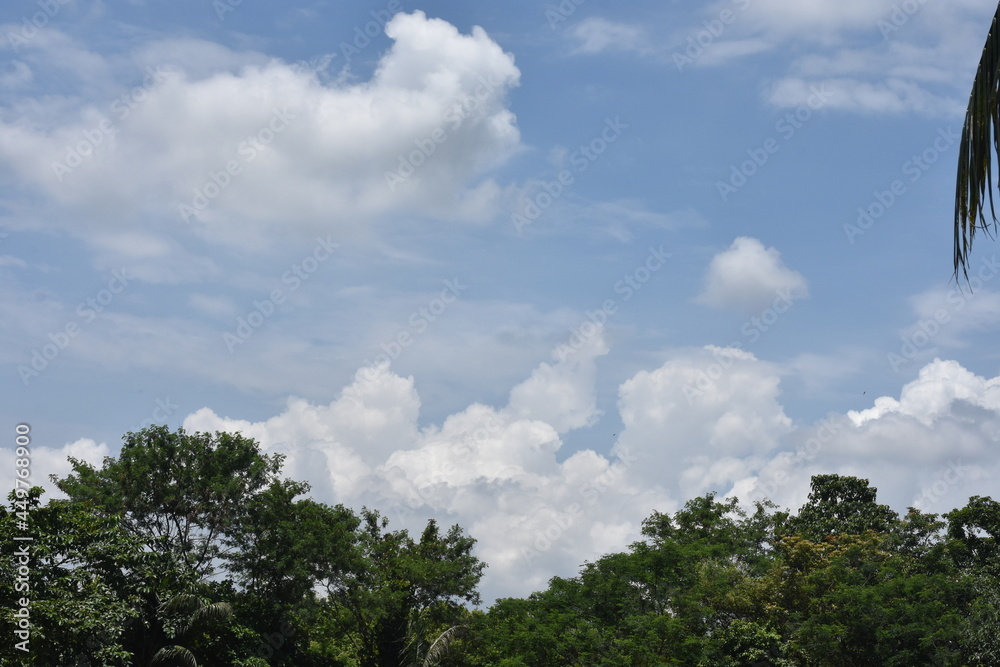 clouds in the sky