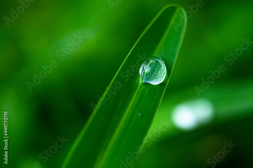Close-up of water drop on grass