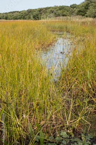 Worden Pond   South Kingstown  Rhode Island  USA