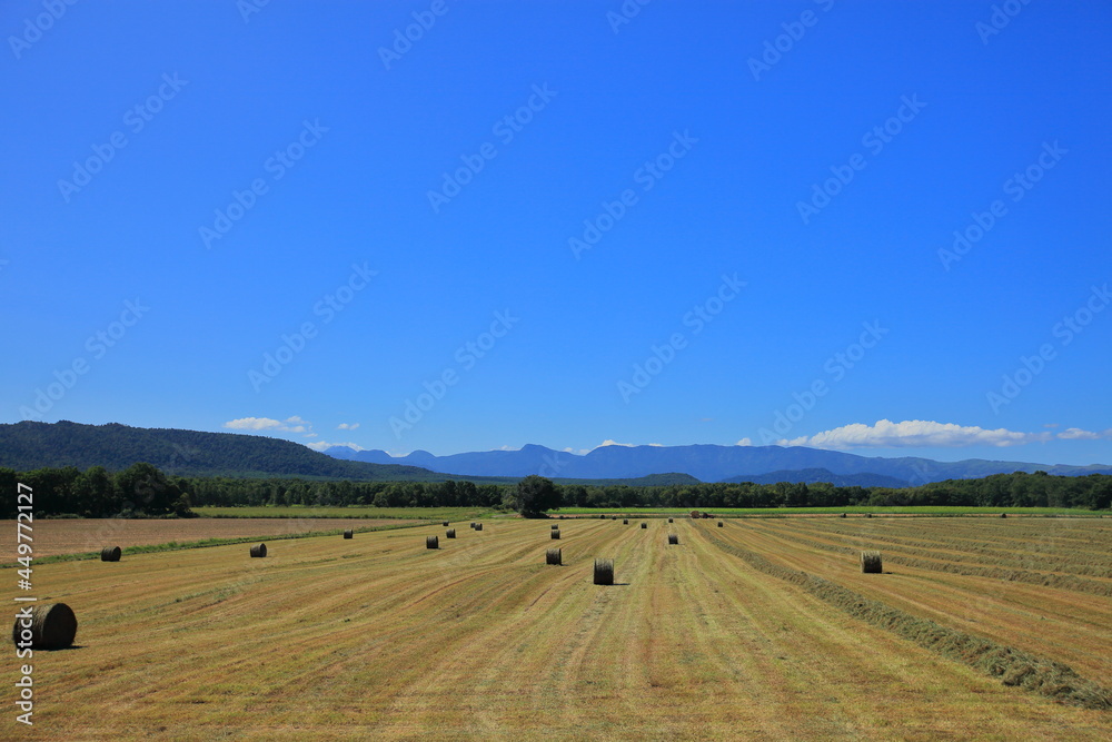 Pasture roll,  北海道での牧草ロール風景