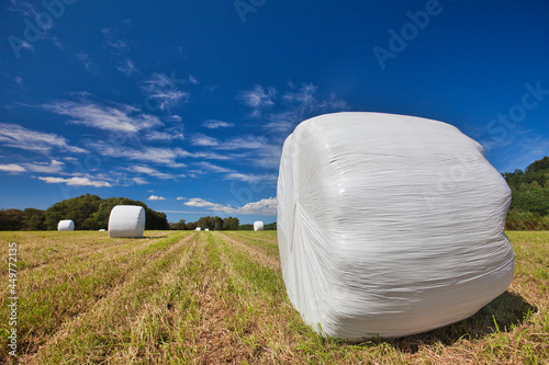 Pasture roll,  北海道での牧草ロール風景