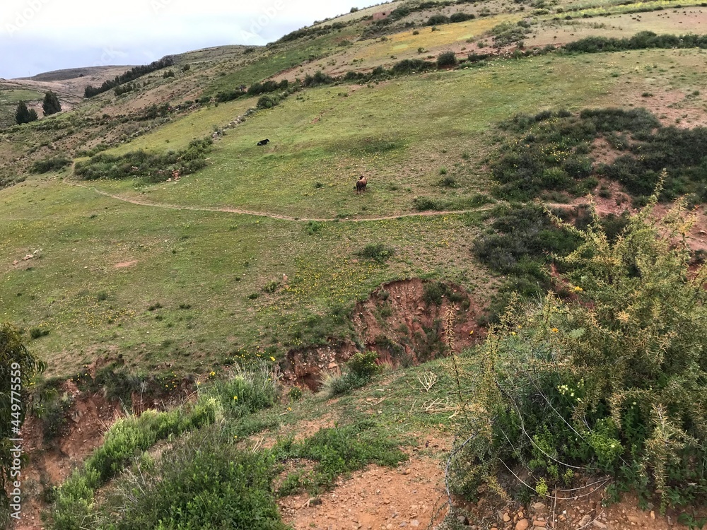 Sacaca es un municipio y localidad de Bolivia, capital de la Provincia