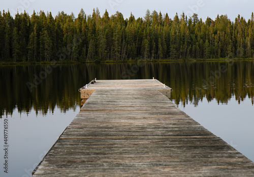 Valokuvatapetti wooden dock in lake water near forest in summer