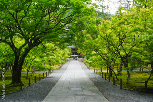 Fototapeta Naklejka Na Ścianę i Meble -  京都 新緑の季節の南禅寺