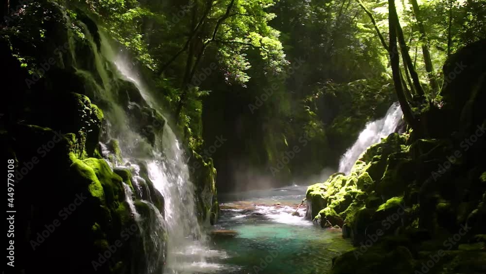 夏の菊池渓谷 夏の菊池渓谷