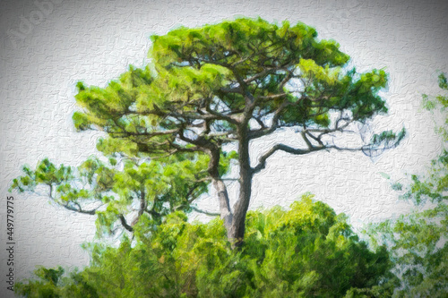 Stylized Tree