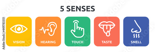 Fotografia 5 senses icon set