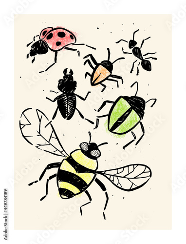 Bugs poster color bee beatle ladybug ant insects