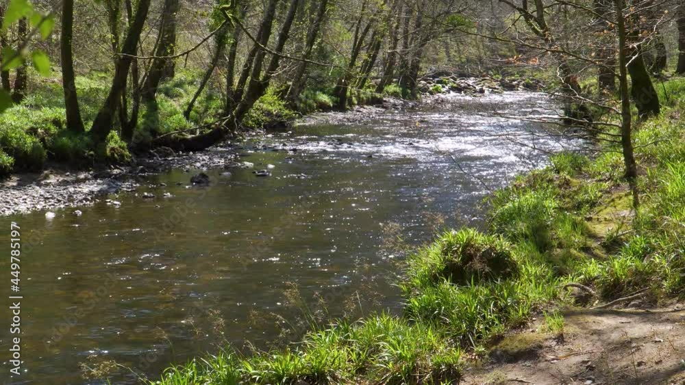 Fresh water flowing down the river teign in Dartmoor national park. Some mossy stones in the middle of the river. Fresh water flowing down the river teign in Dartmoor national park. Some mossy stones in the middle of the river.