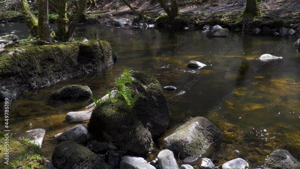 Fresh water flowing down the river teign in Dartmoor national park. Some mossy stones in the middle of the river. Fresh water flowing down the river teign in Dartmoor national park. Some mossy stones in the middle of the river.