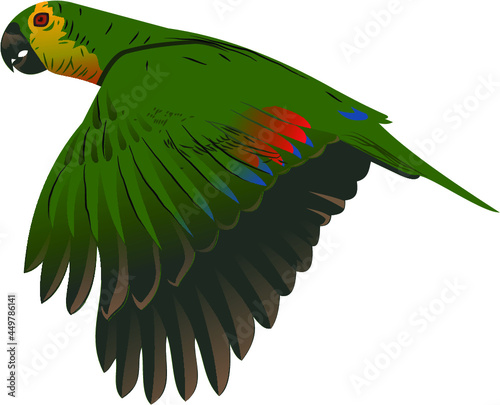 Arara Papagaio Brasileiro