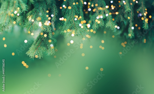 Christmas tree branch with garland in front of green background.
