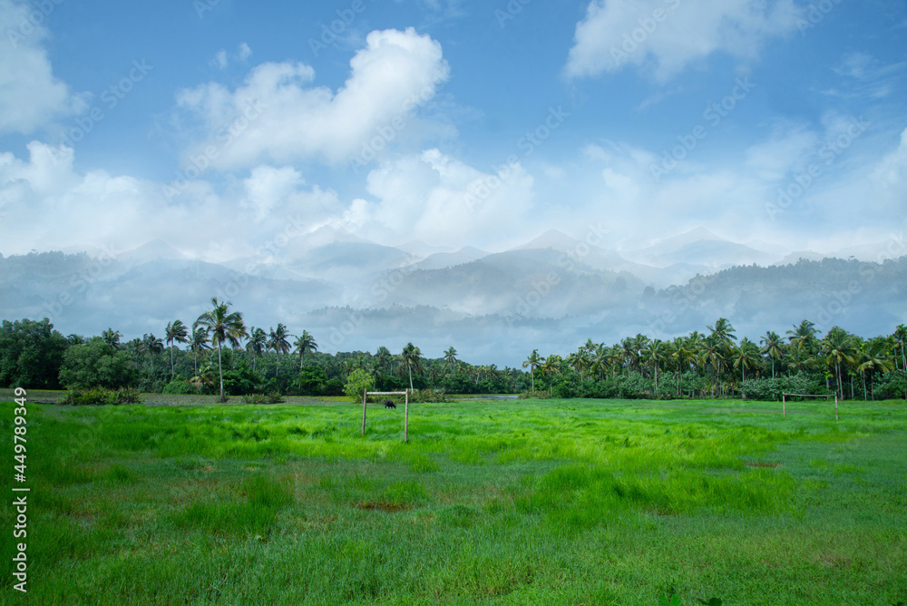 Green grass field under white clouds in a blue sky, Nature photography, Stripe of forest and mountains between a cloudy sky and green grass field. Green grass field under white clouds in a blue sky, Nature photography, Stripe of forest and mountains between a cloudy sky and green grass field.