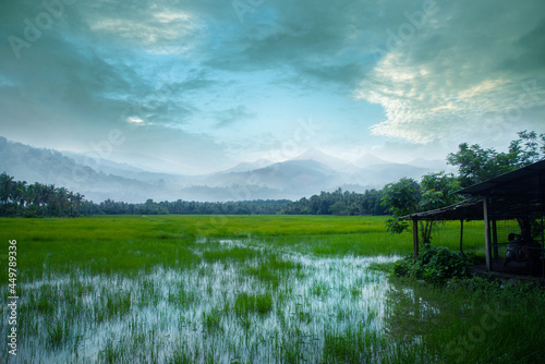 An old small hut in a grass field, Stripe of forest and mountains between a cloudy sky and green grass field, Village photography. photo