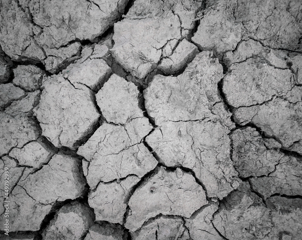 Fototapeta premium Abstract Land arid ground texture