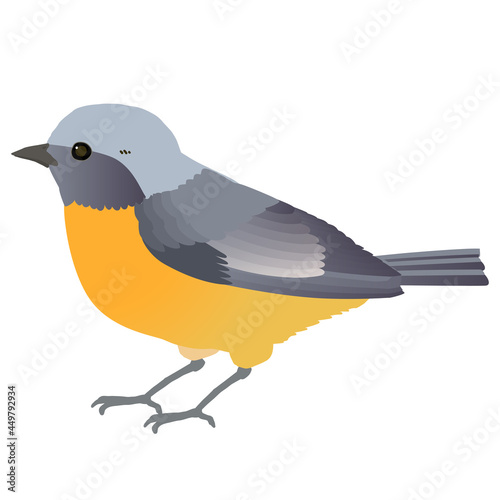 かわいい野鳥ジョウビタキ（オス）のベクターイラスト 