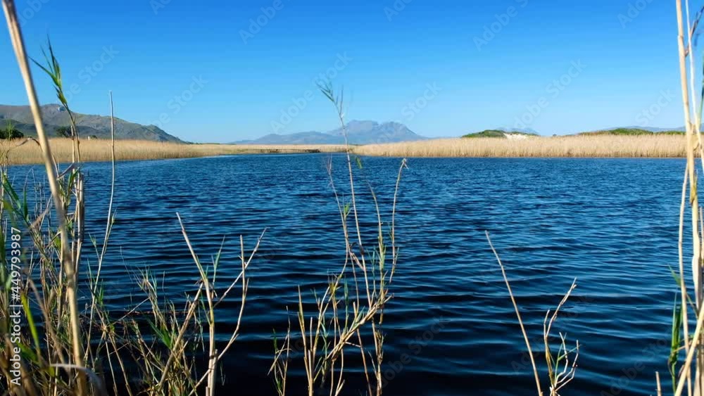Windy conditions on lagoon, brown tannin-rich water, mountain background Windy conditions on lagoon, brown tannin-rich water, mountain background