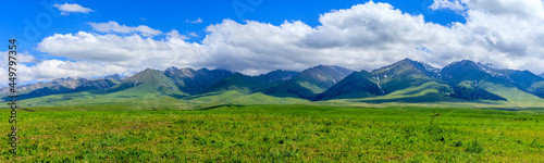 Nalati grassland with beautiful mountain natural landscape in Xinjiang China.