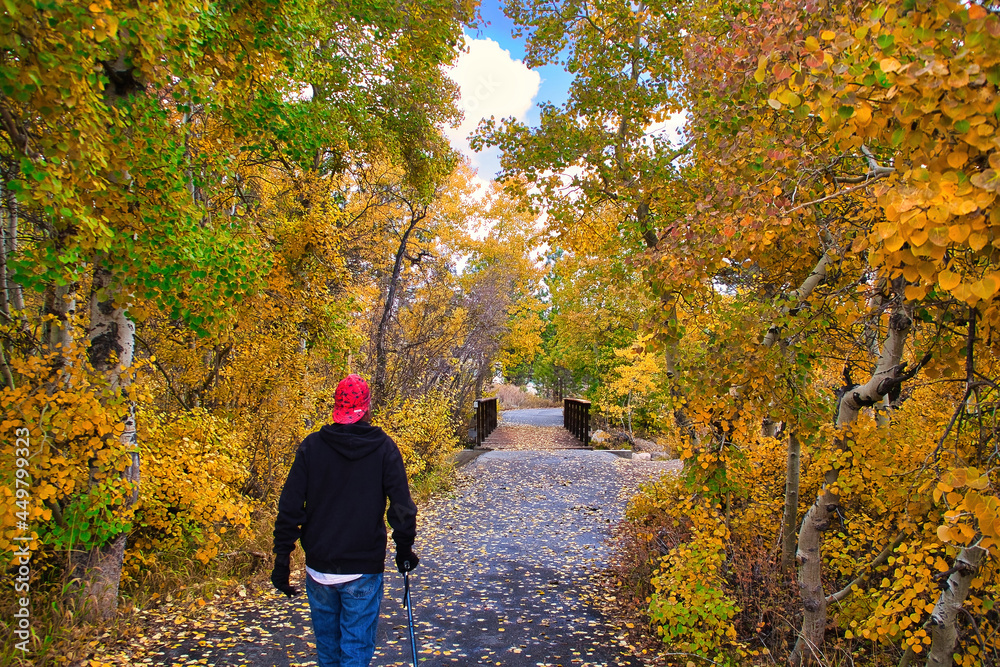 Fototapeta premium hiking at Mammoth California in the fall