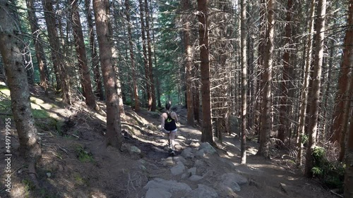 Woman walking down rocky trail inside pine forest during summer - Sun penetrating sideways through branches - Static handheld shot from path to Raksetra Loen Norway photo