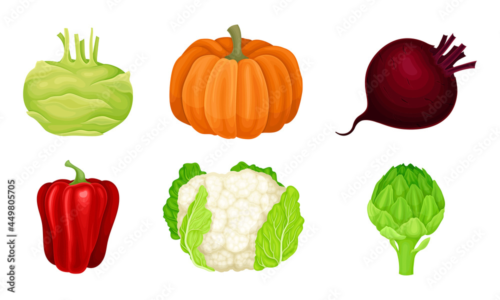 Ripe Vegetables as Healthy Raw Food Vector Set Ripe Vegetables as Healthy Raw Food Vector Set