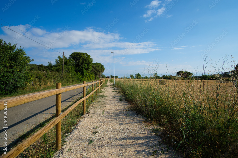 Gravel path with wooden fence on a rural landscape on a sunny day