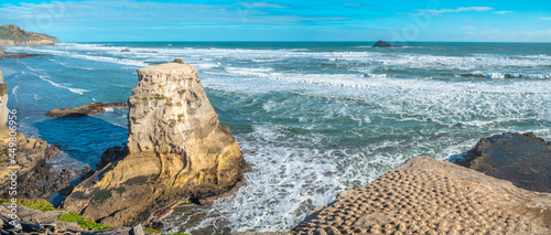 Muriwai Gannet Colony, on the west coast of the Auckland, New Zealand. black sand surf beach and surrounding area is popular for locals and tourists. Gannets nest there in a large colony on the rocks